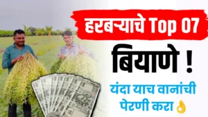 हरबरा जबरदस्त उत्पादन देनारे टाँप 7 वान..एकदा पहाच