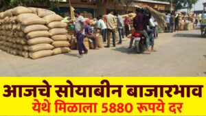 आजचे सोयाबीन बाजारभाव येथे मिळाला सर्वाधिक 5880 रूपये दर पहा लाईव्ह