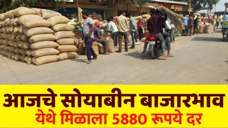 आजचे सोयाबीन बाजारभाव येथे मिळाला सर्वाधिक 5880 रूपये दर पहा लाईव्ह